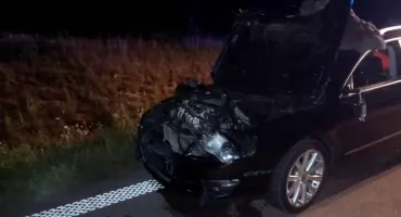 Kolizja pod Uhowem.Zwierzak zginął, samochód uszkodzony. Policja ostrzega: uważajcie na dzikie zwierzęta!  