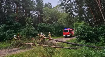 Intensywne opady i silny wiatr: ostrzeżenie meteorologiczne dla podlaskiego!