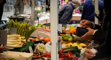 Zielono i smacznie: jarmark na Kawaleryjskiej z harcerskimi atrakcjami na koniec wakacji