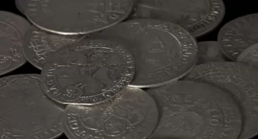 Skarb w Puszczy Knyszyńskiej!. Monety z XVII wieku trafią do Muzeum Podlaskiego (WIDEO)
