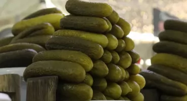 Tradycja i zabawa: Kruszewo znów stanie się stolicą ogórka