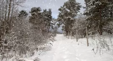 Czy zima zaskoczy nas w październiku? 