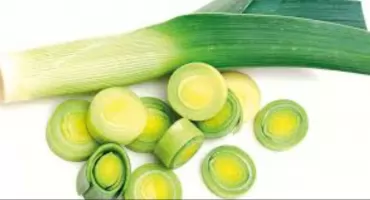  Por – podlaskie warzywo, które uratuje wątrobę 