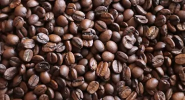 Zdrowie a kawa. Od espresso z oliwy po linię oleato 