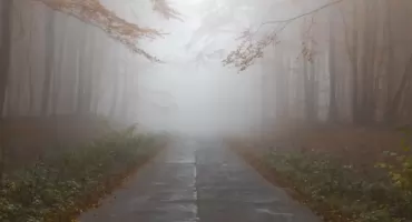 Gęste Mgły nad Podlaskiem! IMGW wydaje ostrzeżenie I stopnia