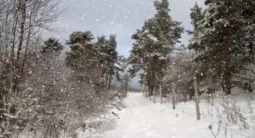Uwaga na zimę! Kiedy będzie śnieg w podlaskiem?