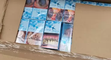 Folia nie zmyliła skanerów. Wielki przemyt papierosów udaremniony w Budzisku