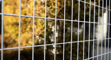 Czy ogrodzenie pod prądem jest legalne?