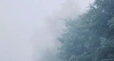 Gęste mgły nad podlaskiem