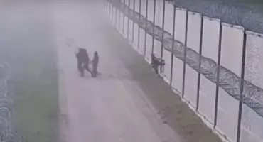 Strefa buforowa utrzymana na granicy polsko-białoruska na kolejne 3 miesiąca 