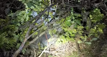 Przemyt roku w podlaskiem: balony za 80 tys. złotych !