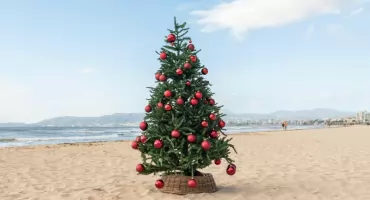 Rewolucja w choinkowych zwyczajów. Podlasianie wyjeżdżają