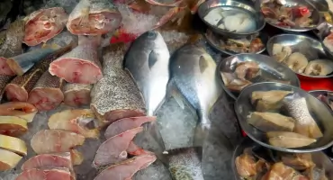 Wigilia na talerzu. Jak kupić najlepszą rybę w Podlaskiem?