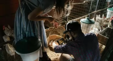 Składki KRUS 2026: nowe kwoty i ważne terminy opłat