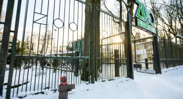 Miś Hejnalista, Miś Belfer i spółka - 8 nowych figurek na szlaku w Białymstoku