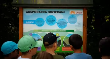 Światowy Dzień Edukacji Ekologicznej. Małe wybory, wielkie zmiany dla naszego regionu