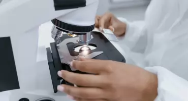 Grzyby, nanostruktury i sztuczna inteligencja. Naukowcy z Białegostoku badają nowy kierunek terapii jelit