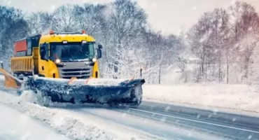 Białostockie drzewa umierają od soli? Mieszkańcy alarmują, urzędnicy rozkładają ręce