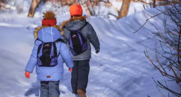 Zasiłek opiekuńczy przy nagłym zamknięciu szkoły lub przedszkola - kto może skorzystać?