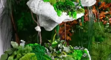 Aranżacja wnętrz z roślinami stabilizowanymi – trendy 2026