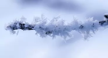 Podlaskie znowu w uścisku mrozu! IMGW wydaje ostrzeżenia. Temperatura mocno w dół