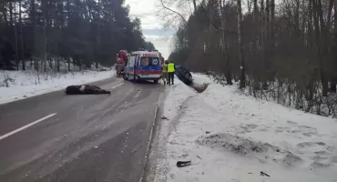 Tragedia w Janowiczach. Kierowca zginął po zderzeniu z łosiem