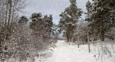 Pogodowy rollercoaster na Podlasiu. Głowa pęka? To nie przypadek, to barometry!