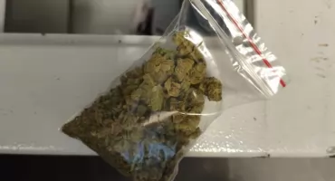 Wielka akcja policji w Kolnie! Rozbito grupę, która wyłudziła miliony z banków