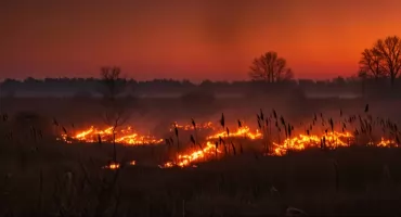 Ogień, który zabija i rujnuje! Ruszyła kampania Stop Pożarom Traw.  Kary będą teraz drastyczne!