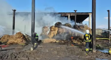 Piekło w Dolistowie Nowym: spłonęło bydło 