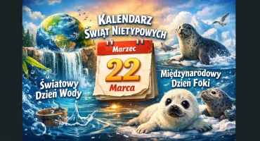 22 marca – woda i morskie ssaki. Niezwykłe święta jednego dnia