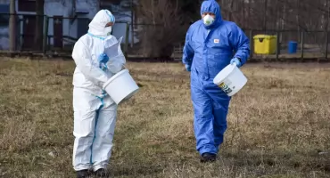 Koniec z dzikami na osiedlach? 