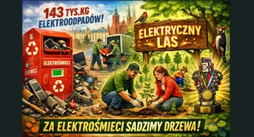 Białystok nagrodzony za recykling elektroodpadów. Mieszkańcy zebrali imponujące ilości