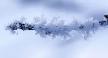 Zima nie odchodzi! IMGW ostrzega przed przymrozkami