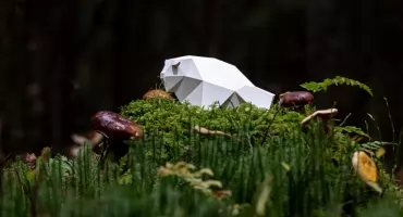 Dzikie Żubry czekają! Rusza nabór na ŻUBROFFKĘ