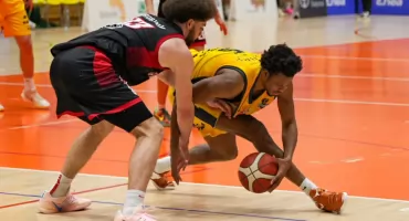 Zabrakło tchu w końcówce. Żubry przegrywają w Katowicach