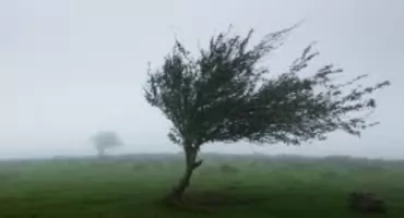 Wichura nadciąga nad Podlaskie. Porywy do 85 km/h!