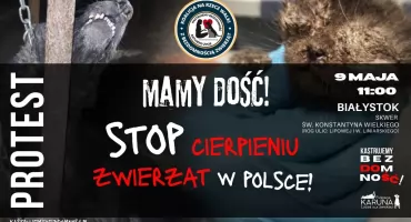 Mamy dość cierpienia zwierząt! Protest obrońców praw czworonogów w centrum Białegostoku