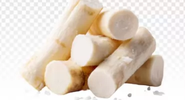 Podlaskie zioła i przyprawy: Korzeń, który działa jak naturalny antybiotyk i pomaga w odchudzaniu