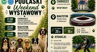 Choroszcz i Białystok stolicą psów rasowych