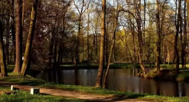 Szanse na renowację Stawu Młyńskiego wciąż zablokowane