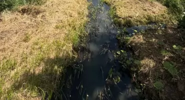 Szanse na renowację Stawu Młyńskiego wciąż zablokowane