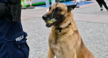 Dźgnął nożem 39-latka i uciekł. Tropem poszedł pies Wermut