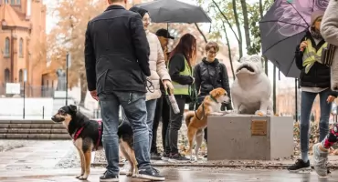 IX Parada Adopciaków przemaszeruje przez miasto