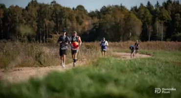 Rekordowy Bison Ultra-Trail. Tysiące biegaczy i żubry na trasie w Puszczy Knyszyńskiej