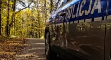 Zgubiła się w lesie. Uratował ją telefon i czujność